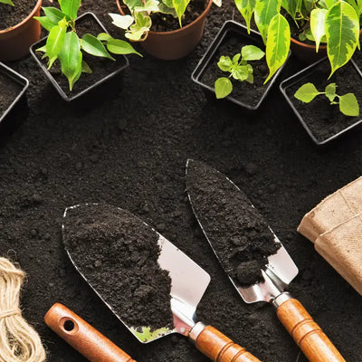 gardening and outdoor accessories