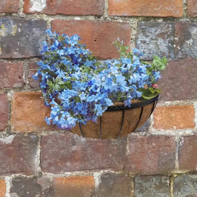 Planters & Plant Pots - Wall Basket