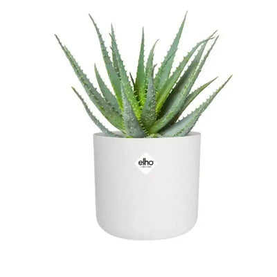 Elho B.For Soft Round Plant Pot - Assorted Sizes And Colours