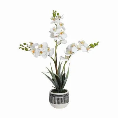 Faux White Orchid in Monochrome Pot 45cm - Homeware