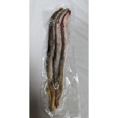 Lamprey Eel Whole Fishing Frozen Bait - 3 Pack
