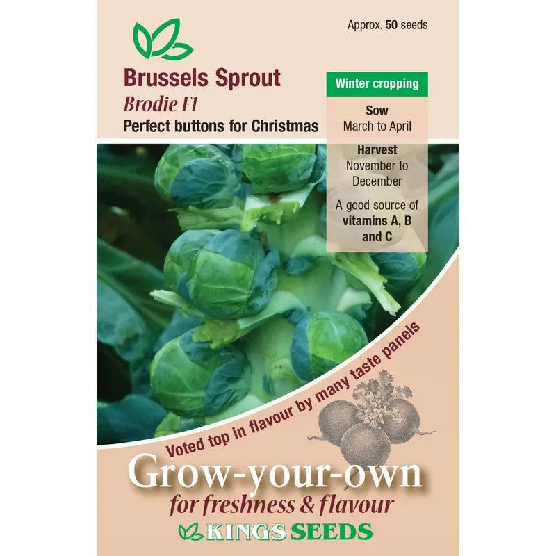 Kings Seeds Vegetables Seeds - Brussels Sprout Brodie F1 -