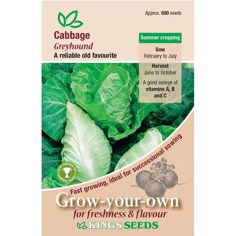 Kings Seeds Vegetables Seeds - Cabbage - Greyhound - Seeds