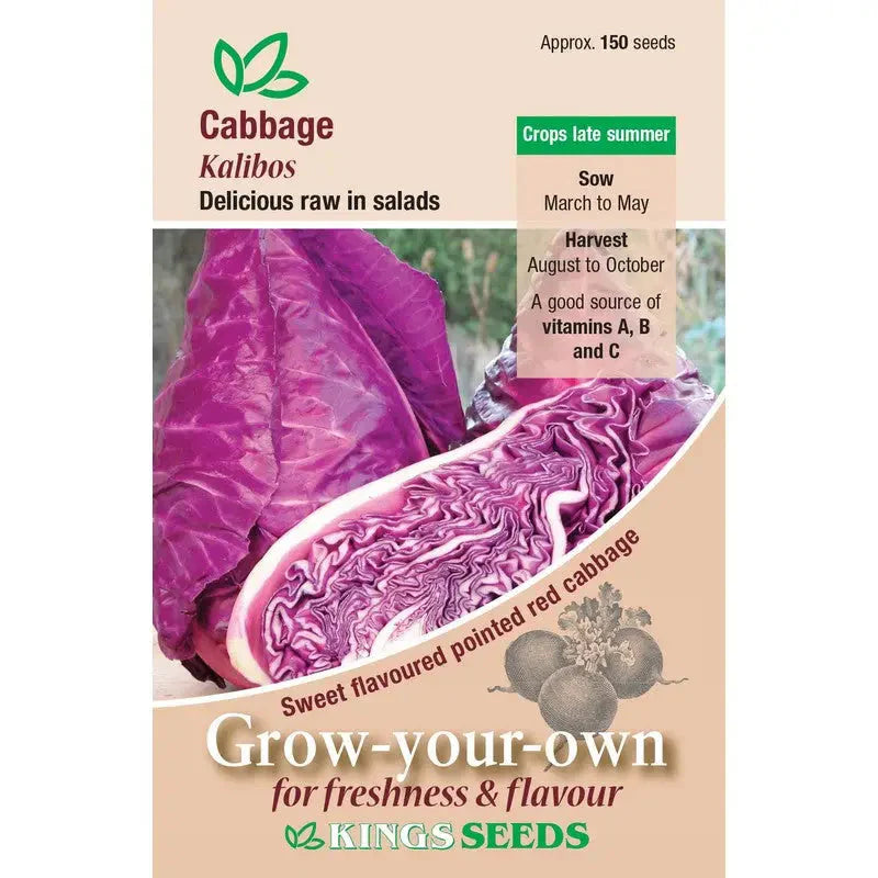 Kings Seeds Vegetables Seeds - Cabbage Kalibos - Seeds
