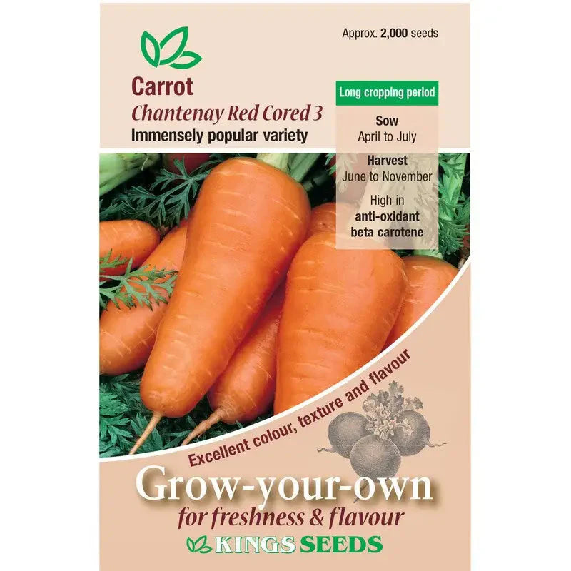 Kings Seeds Vegetables Seeds - Carrot Chantenay Red Cored -