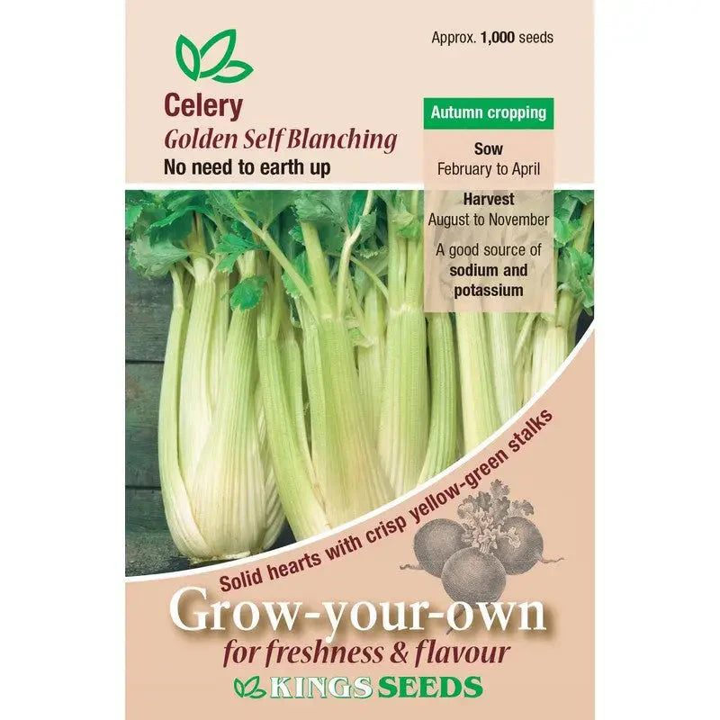 Kings Seeds Vegetables Seeds - Celery Golden Self Blanching