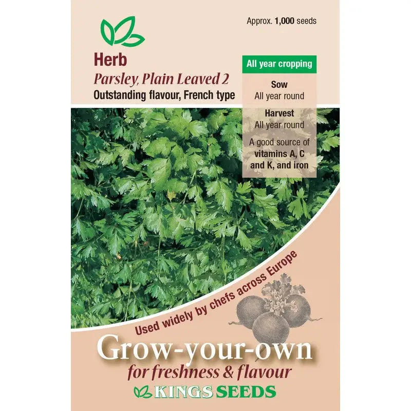 Kings Seeds Vegetables Seeds - Herb Parsley Plain Leaved -