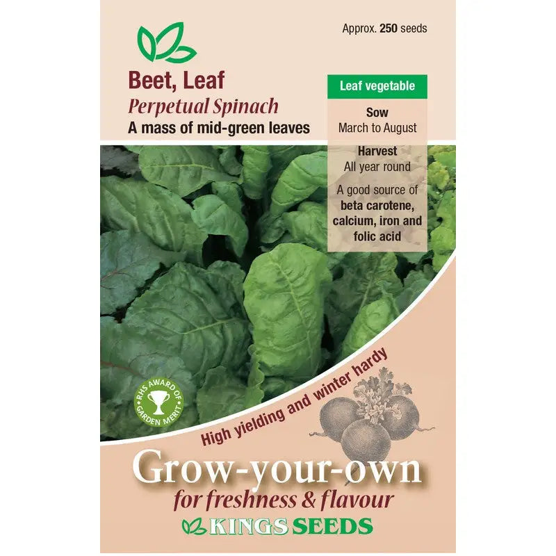 Kings Seeds Vegetables Seeds - Leaf Beet Perpetual Spinach -