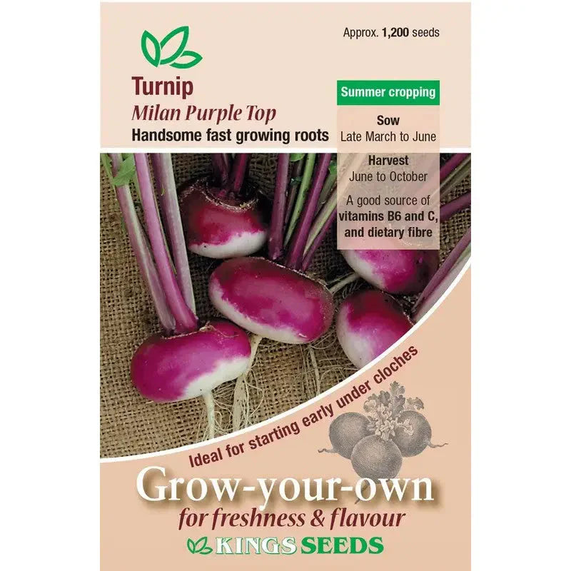 Kings Seeds Vegetables Seeds - Turnip Milan Purple Top -