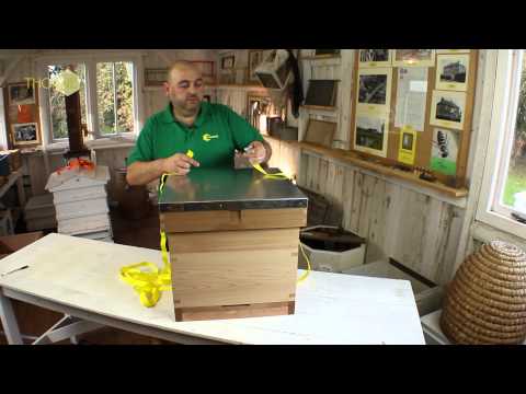 Thornes Bee Hive Rachet Strap - (Bee Keeping Equipment)