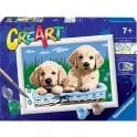Ravensburger Creart Painting By Numbers - Cute Puppies -