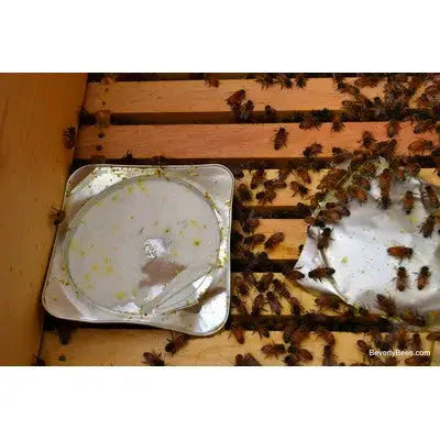 Vita Bee Health Apiguard Varroa Bee Treatment 10 Pack - (Bee