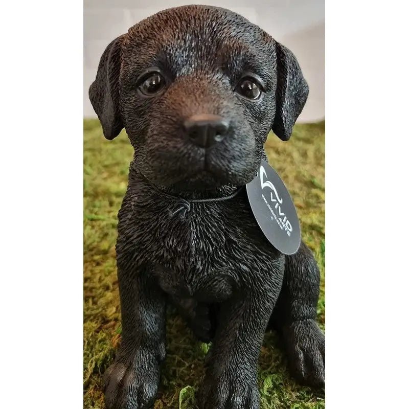 Vivid Arts Frost Resistant Black Labrador Pet Pal - Homeware