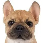 Vivid Arts Pet Pal French Golden Bulldog - Homeware
