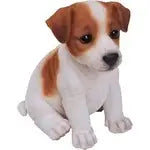 Vivid Arts Pet Pal Jack Russell Pup - F - Homeware