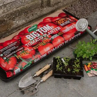 Westland Big Tom Tomato Planter Gro Bag (2 For 12) - Twin