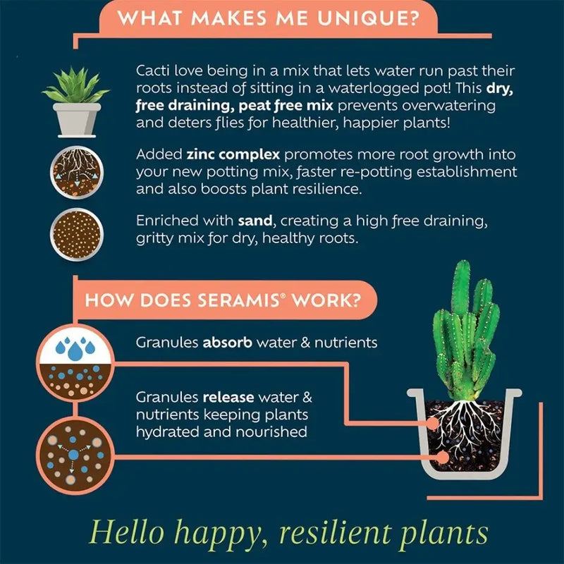 Westland Cacti & Succulent Potting Mix 4L - Gardening