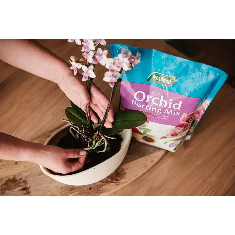 Westland Orchid Potting Mix 8L - Plant Food