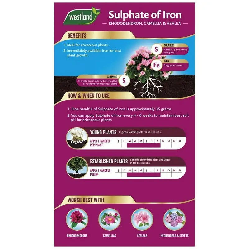 Westland Sulphate Of Iron - 1.5Kg - Gardening & Outdoors