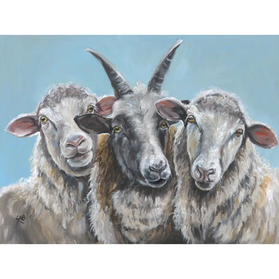 What Are Ewe Looking At - Canvas 80 x 60cm Artwork