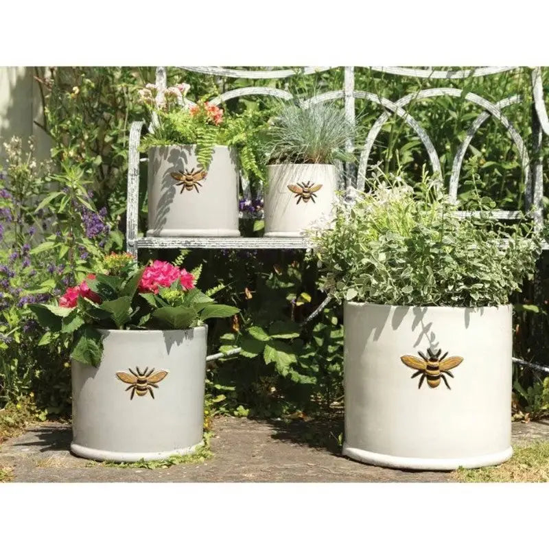 Woodlodge Wisteria Frostproof Ceramic Plant Pots - Pots &