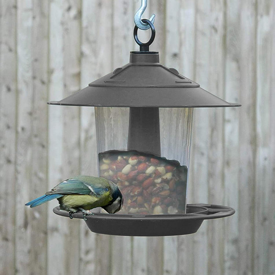 Garland Lantern Bird Seed & Nut Feeder Anthracite