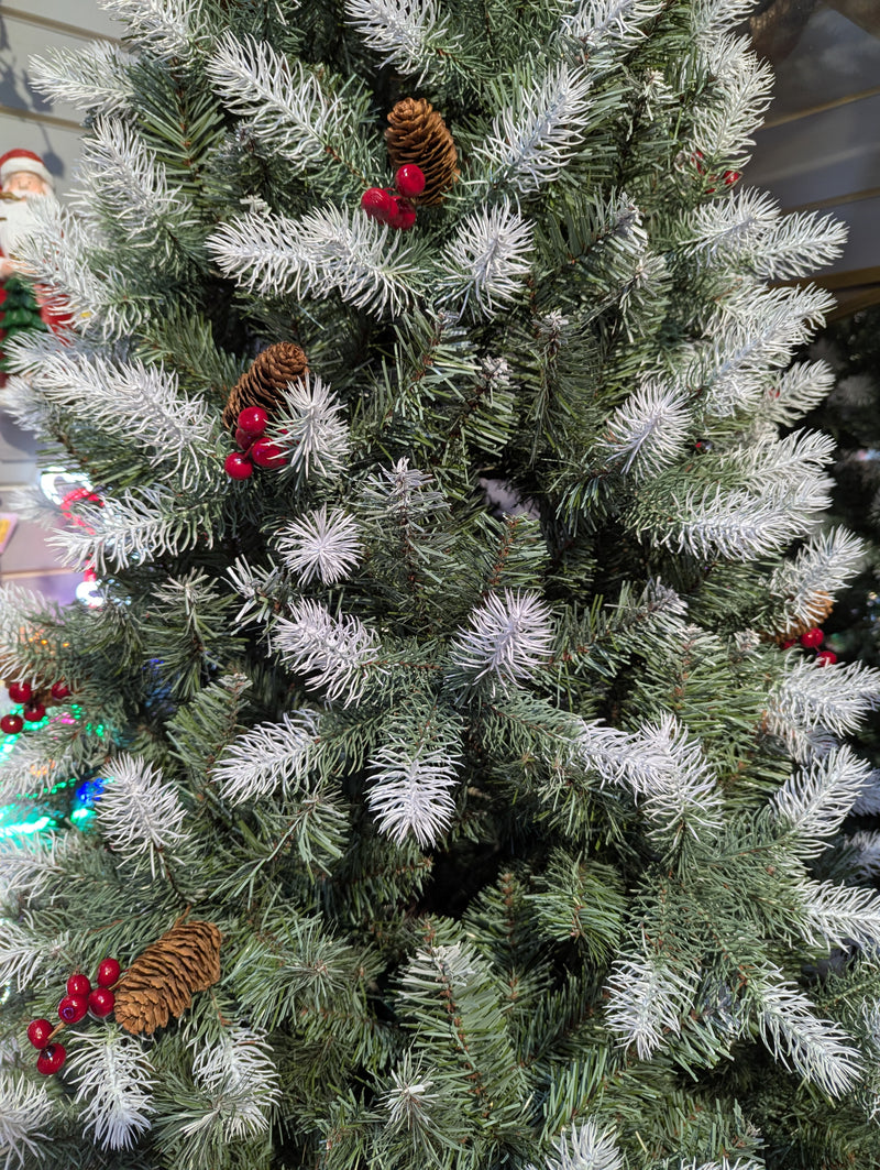 Festive Silvertip Fir Christmas Tree 180cm / 210cm