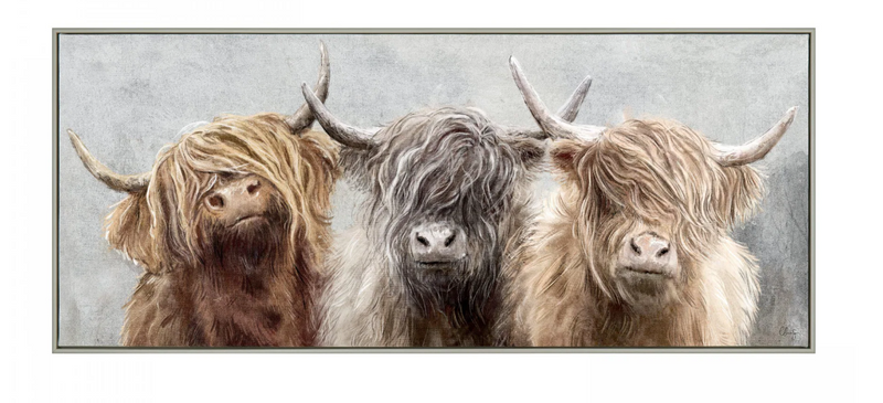 Three Of A Kind Highland Coos Picture 82X35X3cm