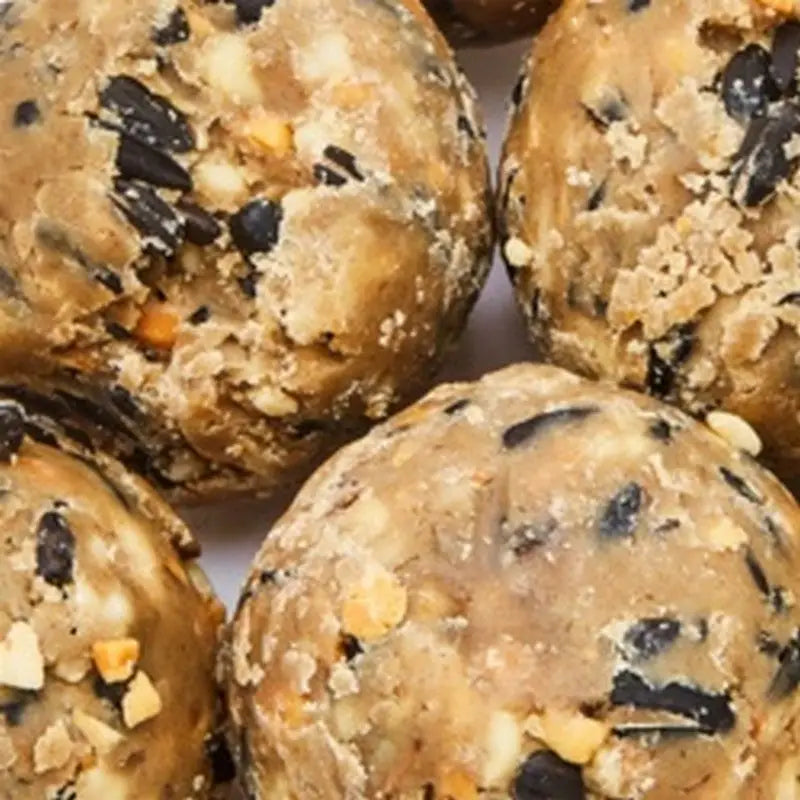 Ambassador Ultimate Fat Balls - 6 Pack - Bird Care