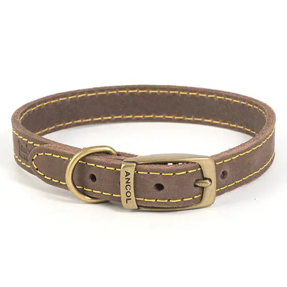Ancol Timberwolf Leather Collar 3 28-36cm - Pet Supplies