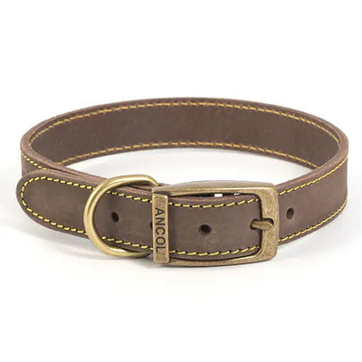 Ancol Timberwolf Leather Collar 6 45-54cm - Pet Supplies