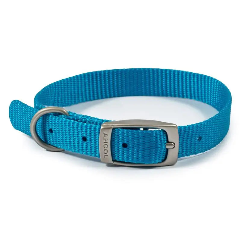 Ancol Viva Buckle Dog Collar 2 26-31cm Blue - Pet Supplies