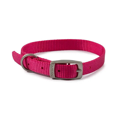 Ancol Viva Buckle Dog Collar 2 26-31cm Pink - Pet Supplies