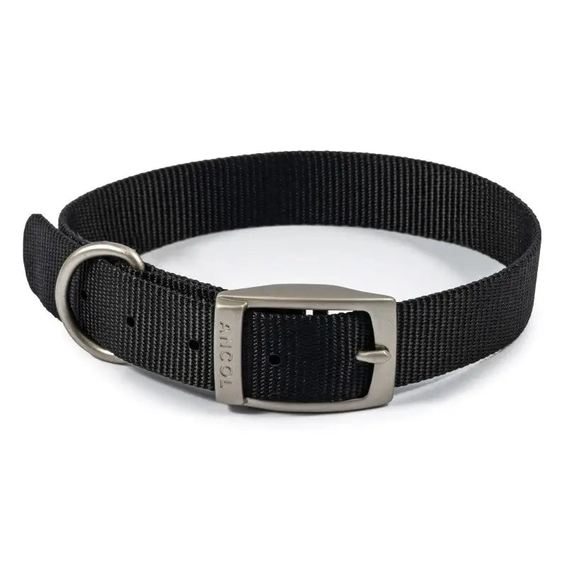 Ancol Viva Buckle Dog Collar 4 35-43cm Black - Pet Supplies