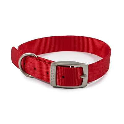 Ancol Viva Buckle Dog Collar 5 39-48cm Red - Pet Supplies