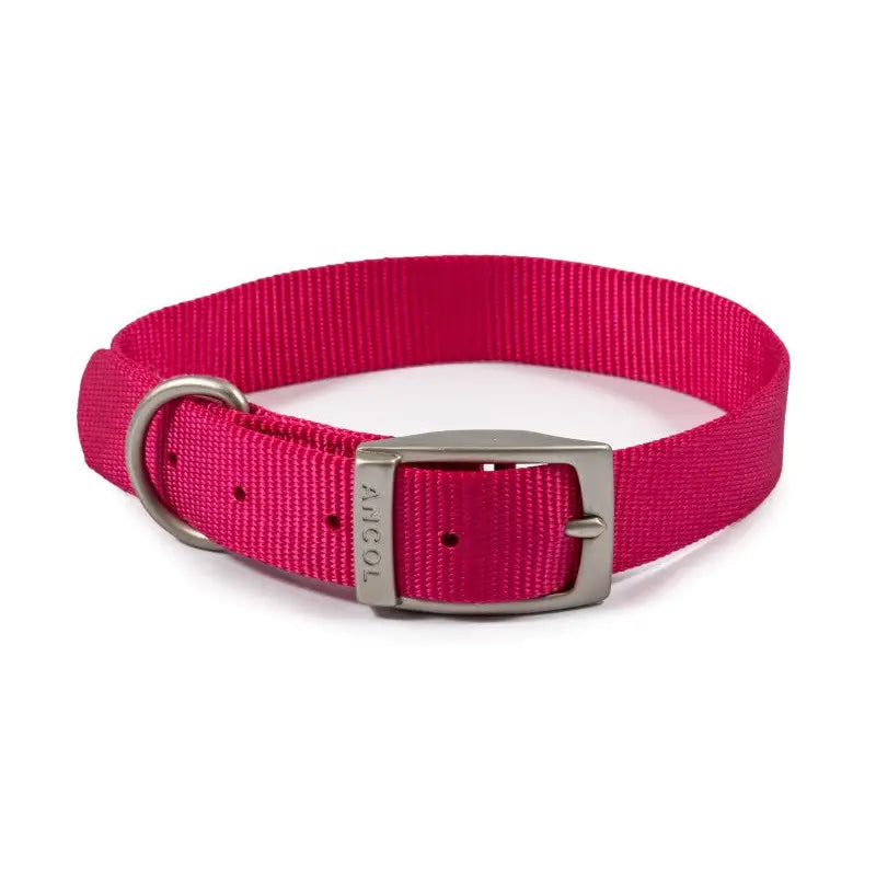 Ancol Viva Buckle Dog Collar 5 39-50cm Pink - Pet Supplies