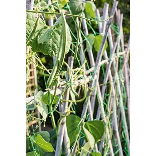 Apollo Pea & Bean Support Net 4x2M 153mm Mesh - Garden &