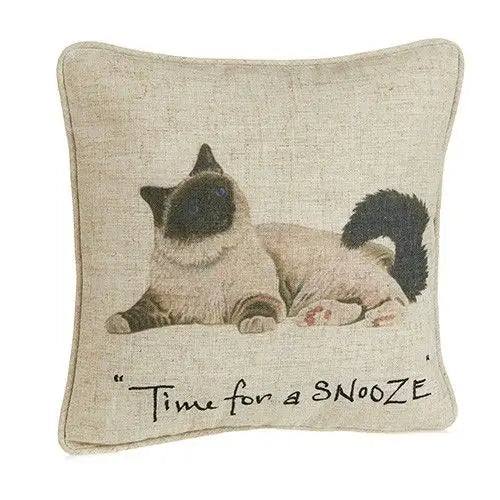 At Home In The Country - Persian Cat - Time for a Snooze