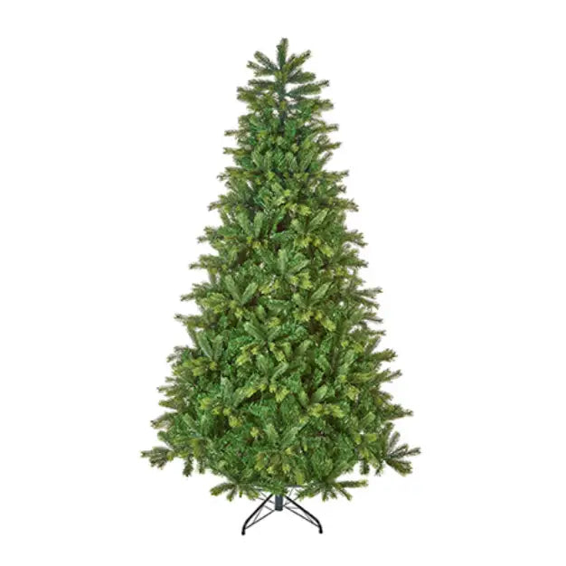 Barneswood Spruce Tree 2.4m / 8ft - Seasonal >> Christmas
