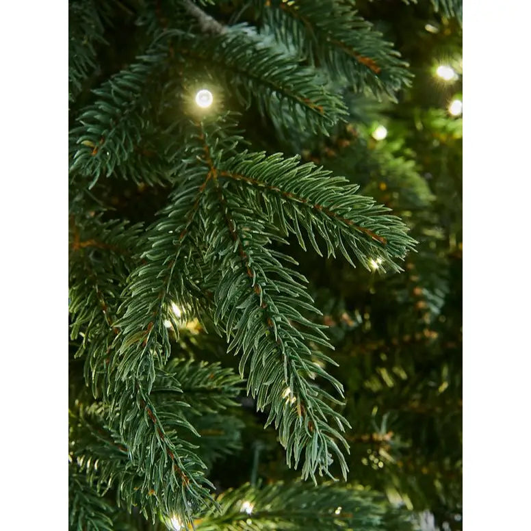 Bosk Rivington Fir Christmas Tree - Various Sizes