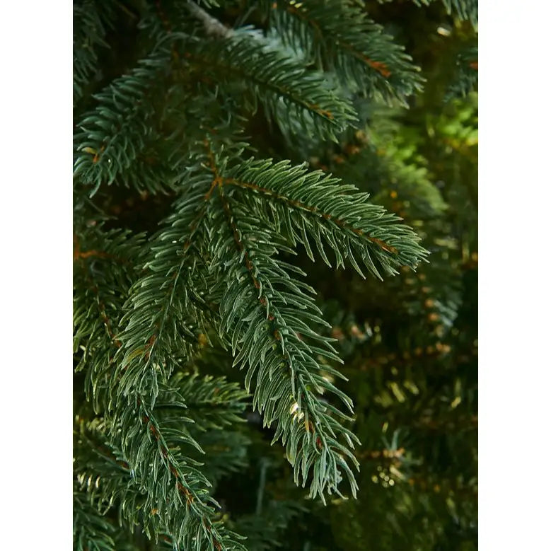 Bosk Rivington Fir Christmas Tree - Various Sizes