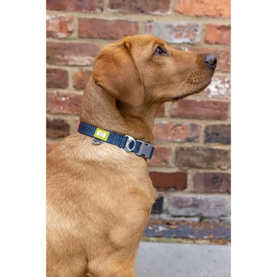 Built Pets Reflective Collar - Medium Blue - Pet Supplies