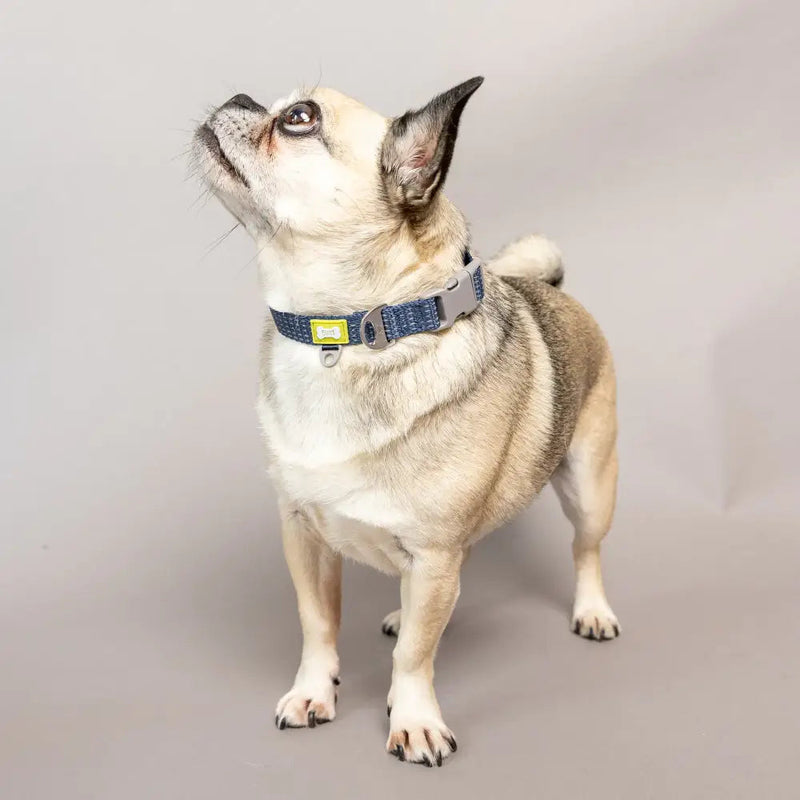 Built Pets Reflective Collar - Small Blue - Pet Supplies