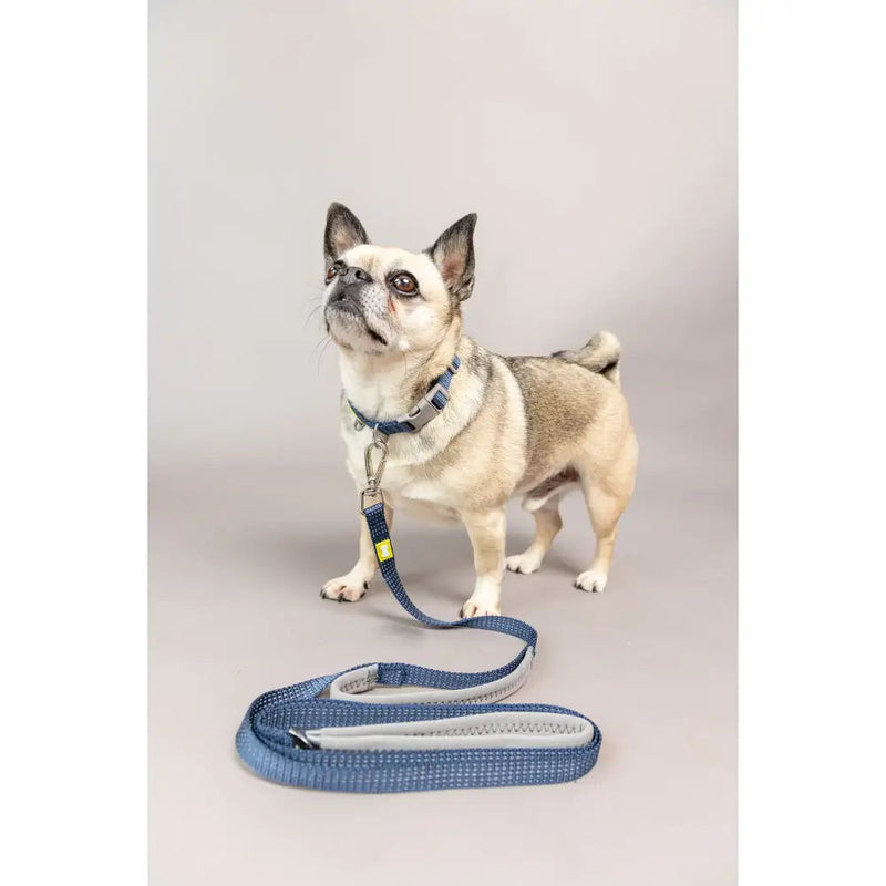 Built Pets Reflective Lead Small - Blue - Pet Supplies