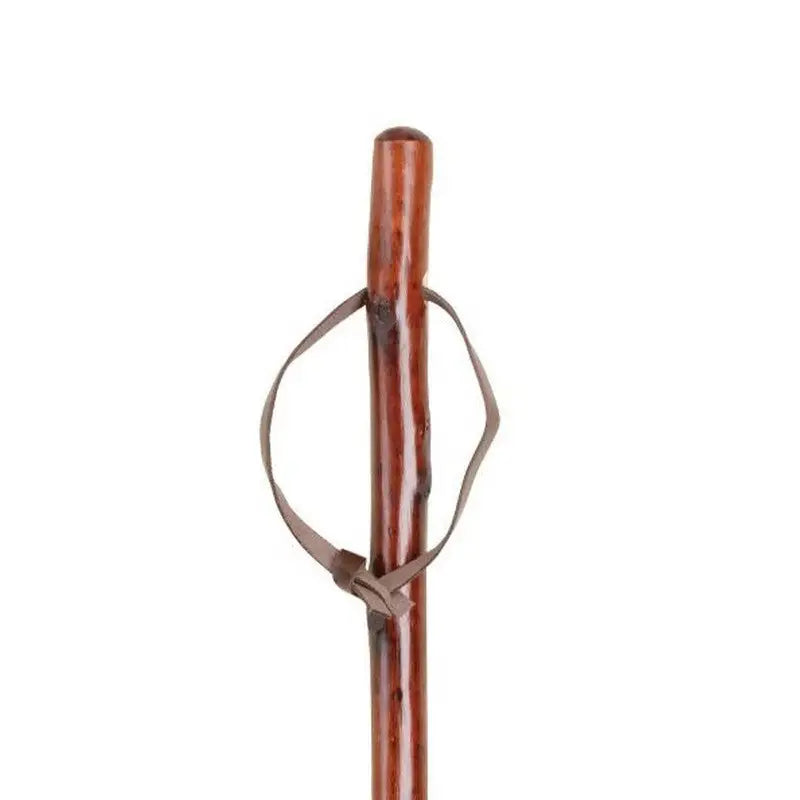 Charles Buyers Chestnut Hiker Stick with Metal Ferrule