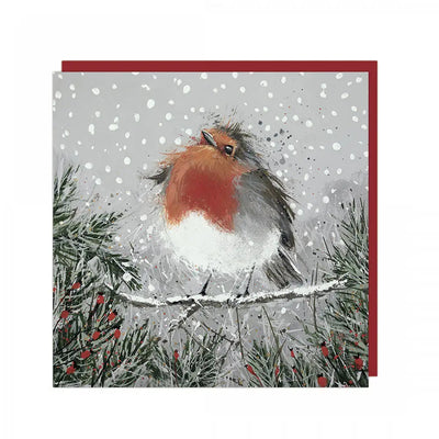 Christmas Greeting Cards - Christmas Pudding - Robin - 6