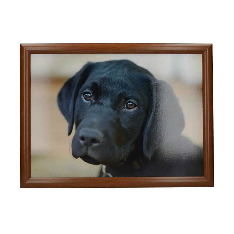 Creative Tops Labrador Dog Lap Tray - Lap Tray