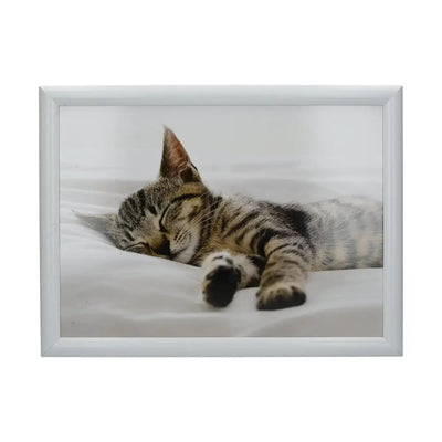 Creative Tops Sleeping Kitten Lap Tray - Lap Tray