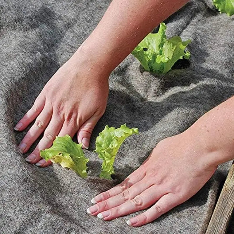 Defenders Slug Away Wool Mat - Small (87x60cm) - Gardening