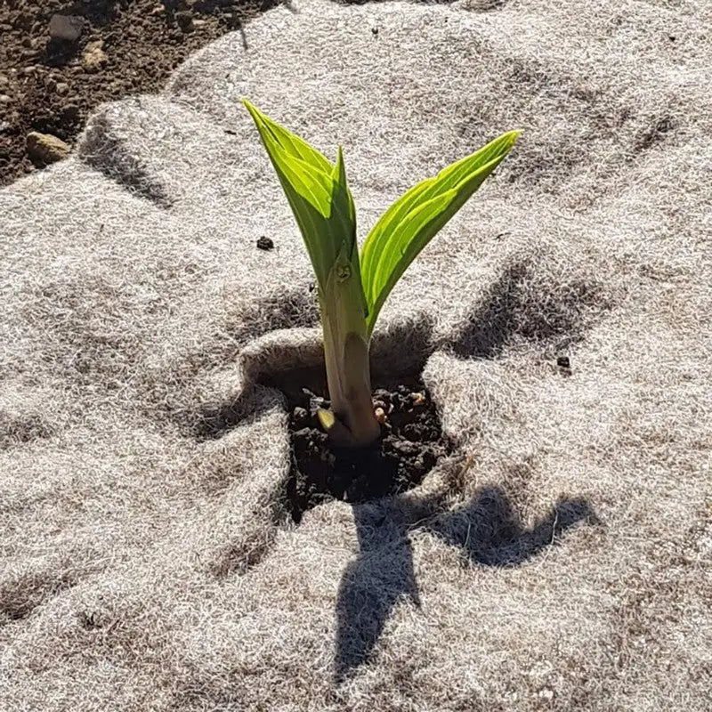 Defenders Slug Away Wool Mat - Small (87x60cm) - Gardening